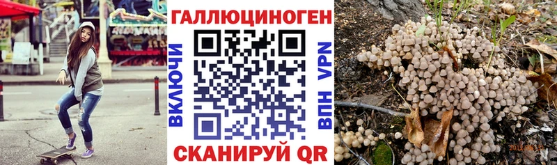 дарнет шоп  Минусинск  Галлюциногенные грибы мицелий 